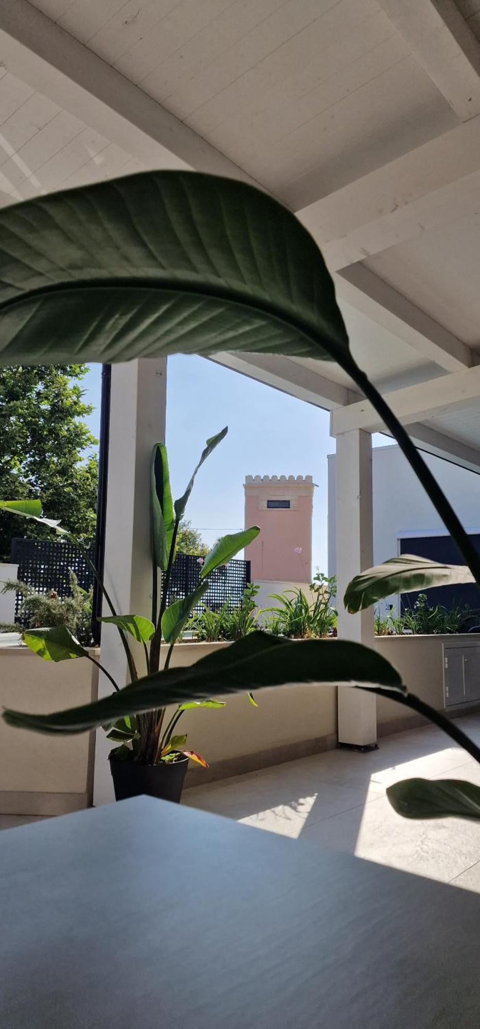 Thalassa Rooms Avola Exterior photo